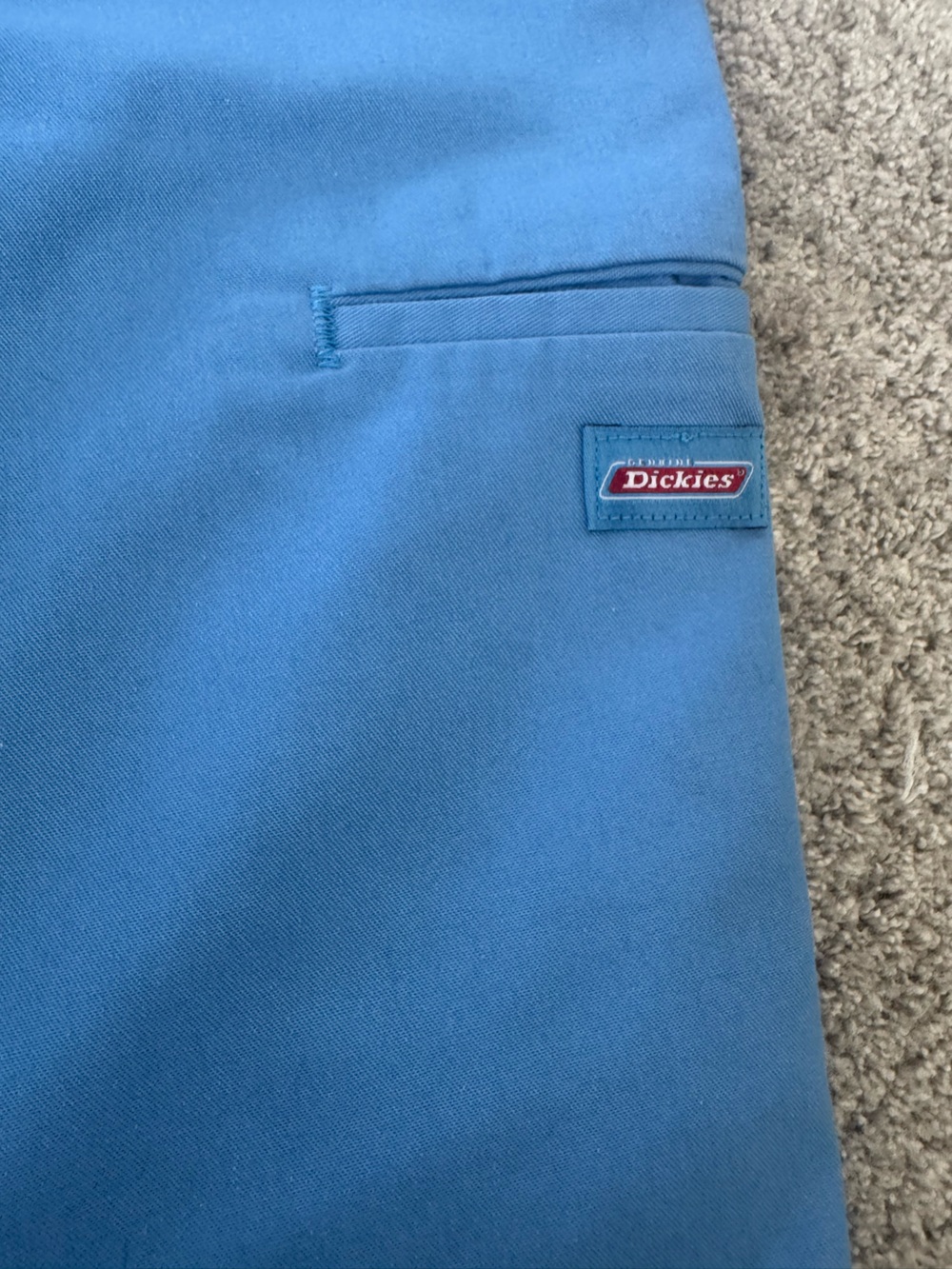 Dickies men’s Light Blue Shorts